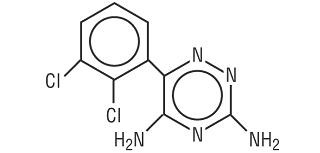 LAMOTRIGINE