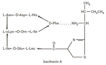 Bacitracin