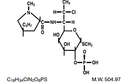 Clindamycin