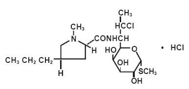 Clindamycin Hydrochloride