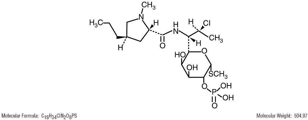 clindamycin phosphate