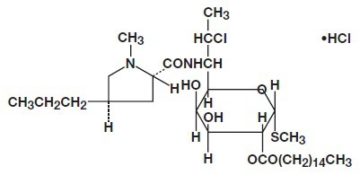 CLINDAMYCIN PALMITATE HYDROCHLORIDE