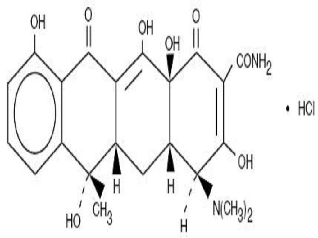 Tetracycline Hydrochloride