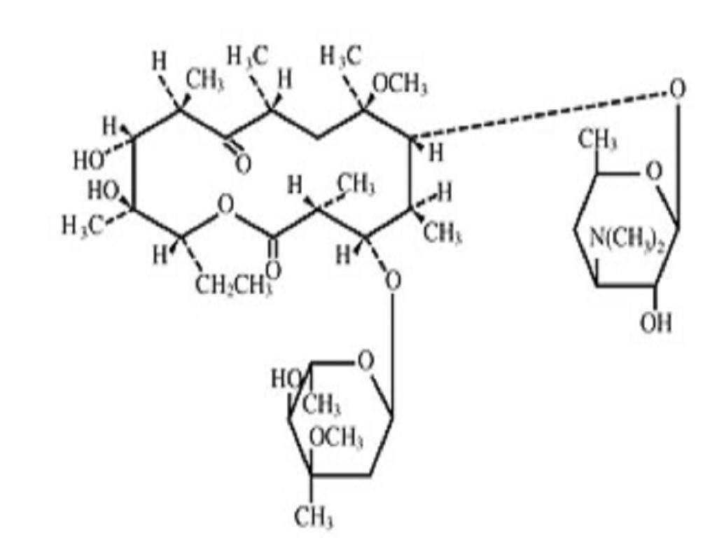 Clarithromycin