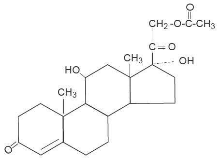 Cortifoam