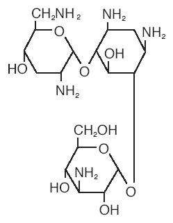 Tobramycin