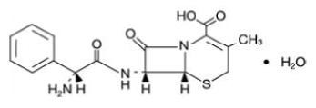 Cephalexin