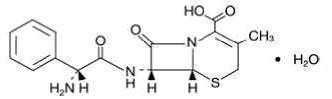 Cephalexin