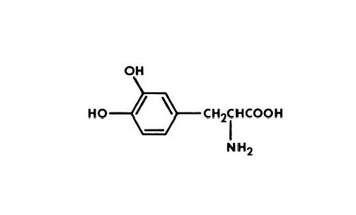 Carbidopa and Levodopa