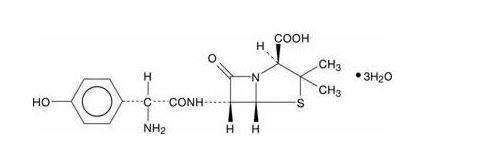 AMOXICILLIN