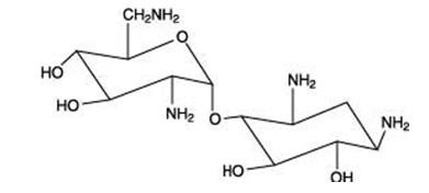 Coly-Mycin S