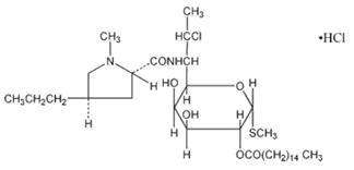 Clindamycin Palmitate Hydrochloride (Pediatric)