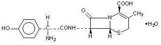 Cefadroxil