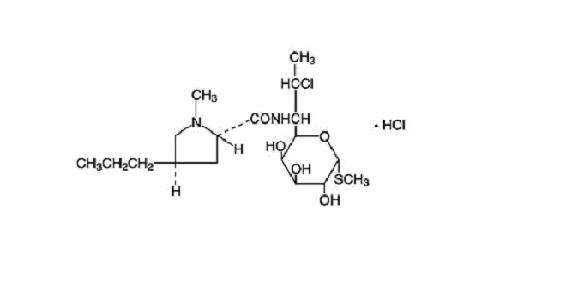 Clindamycin Hydrochloride