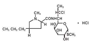 clindamycin hydrochloride