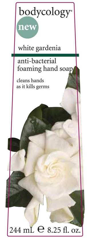 Bodycology white gardenia anti-bacterial foaming hand soap