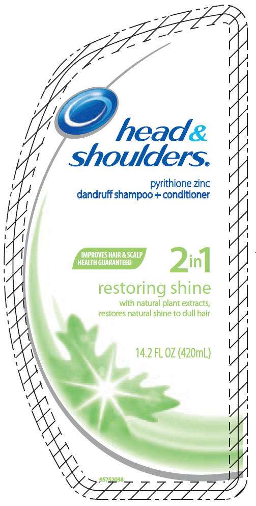 Head and Shoulders 2in1