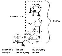 Neomycin and Polymyxin B Sulfates, Bacitracin Zinc and Hydrocortisone