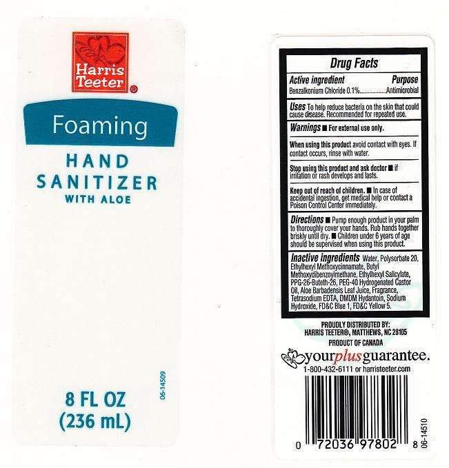 FOAMING HAND SANITIZER