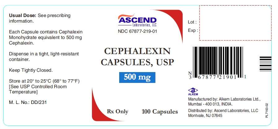 Cephalexin