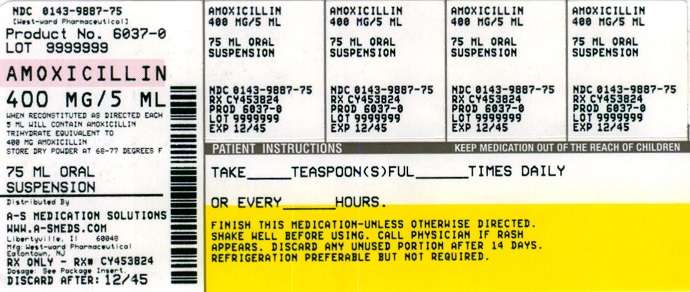 Amoxicillin