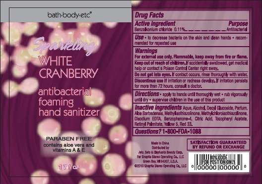 Antibacterial Foaming Hand Sanitizer