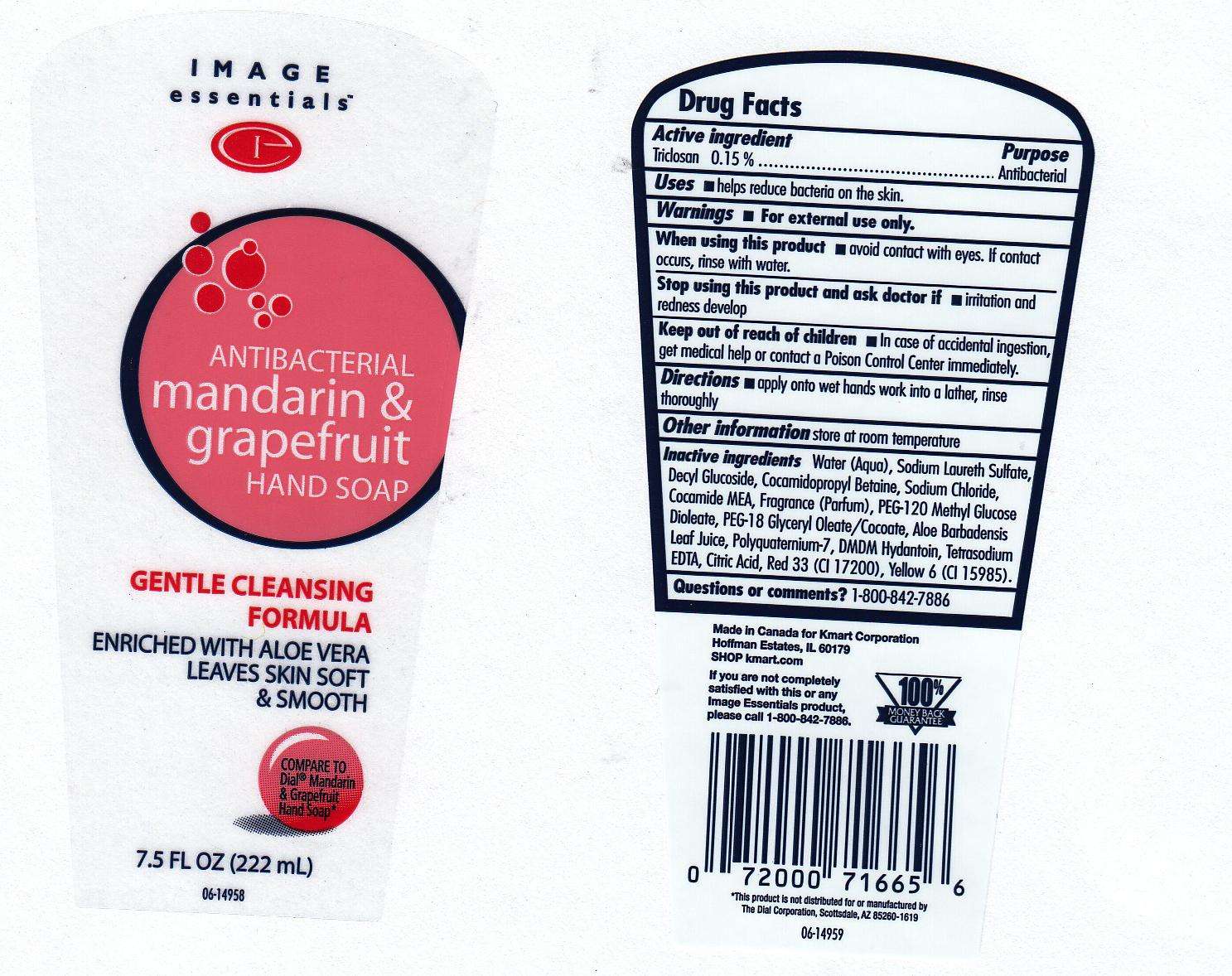 Antibacterial Mandarin and Grapefruit Handsoap