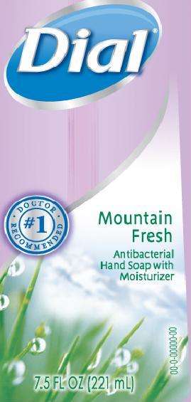 Dial Mountain Fresh Antibacterial Soap