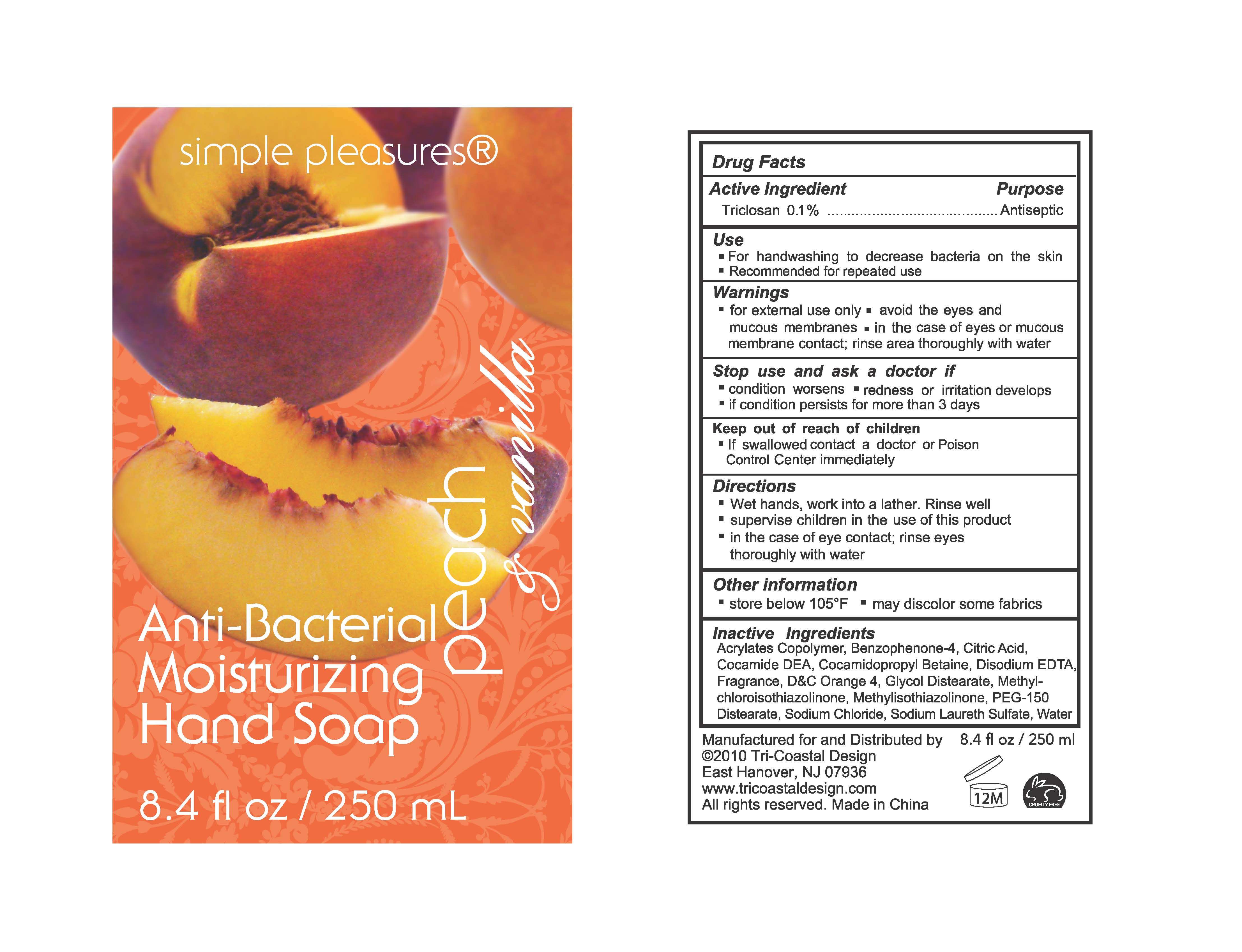 moisturizing anti-bacterial hand soap