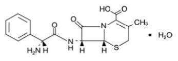 Cephalexin