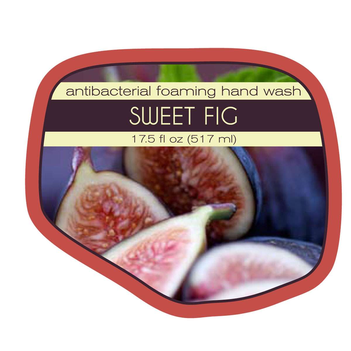 Sweet Fig Antibacterial Foaming Hand Wash