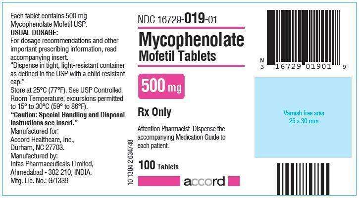 Mycophenolate Mofetil