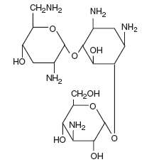 Tobramycin and Dexamethasone