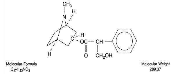 ATROPINE SULFATE