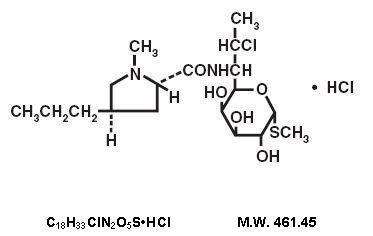 Clindamycin Hydrochloride