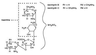 Neomycin and Polymyxin B Sulfates and Dexamethasone