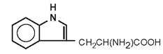 Amino Acids