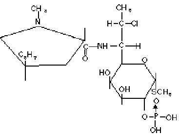 Clindagel