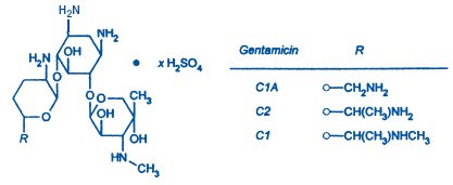 Gentamicin Sulfate in Sodium Chloride