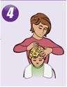 up and up lice complete kit 1 2 3