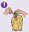 up and up lice complete kit 1 2 3