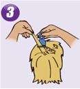 up and up lice complete kit 1 2 3