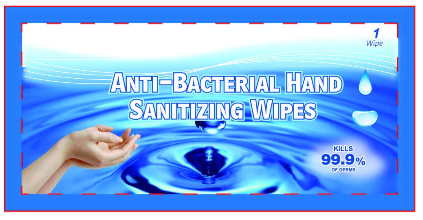 PF ANTI-BACTERIAL HAND SANITIZING WIPES