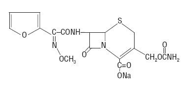 Cefuroxime and Dextrose