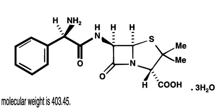 Ampicillin Trihydrate