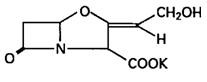 Amoxicillin and Clavulanate Potassium