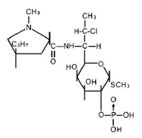 Cleocin Phosphate