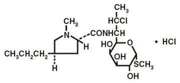 Cleocin Hydrochloride