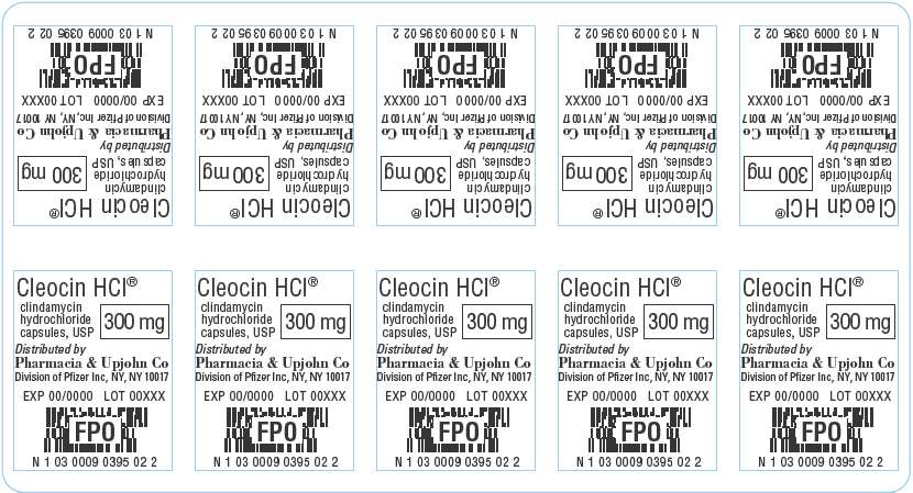 Cleocin Hydrochloride