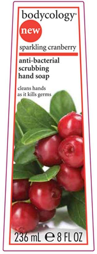 Bodycology Sparkling Cranberry anti-bacterial scrubbing hand soap